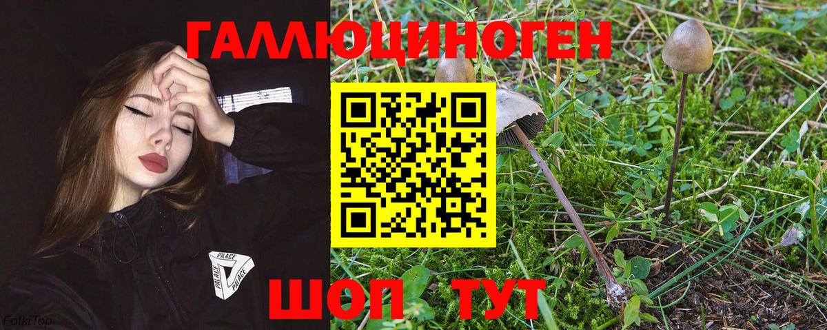 Галлюциногенные грибы MAGIC MUSHROOMS Сарапул