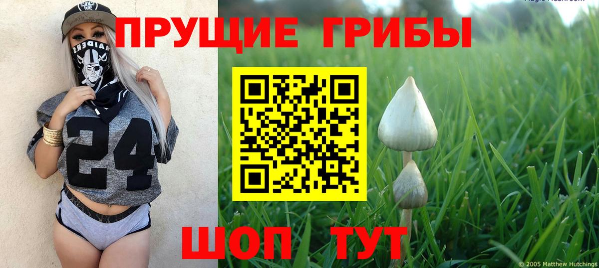 Сарапул  Галлюциногенные грибы Magic Shrooms  Вход с VPN  Псилоцибиновые грибы GOLDEN TEACHER 
