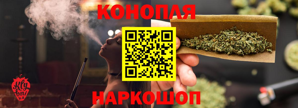 Канабис сатива Сарапул